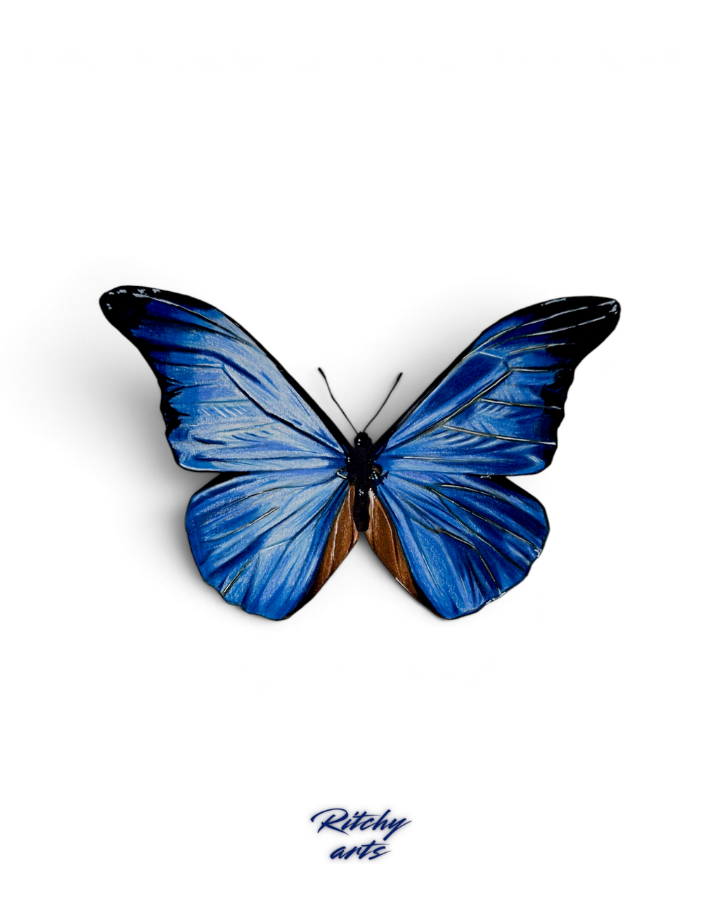 Blue Butterfly