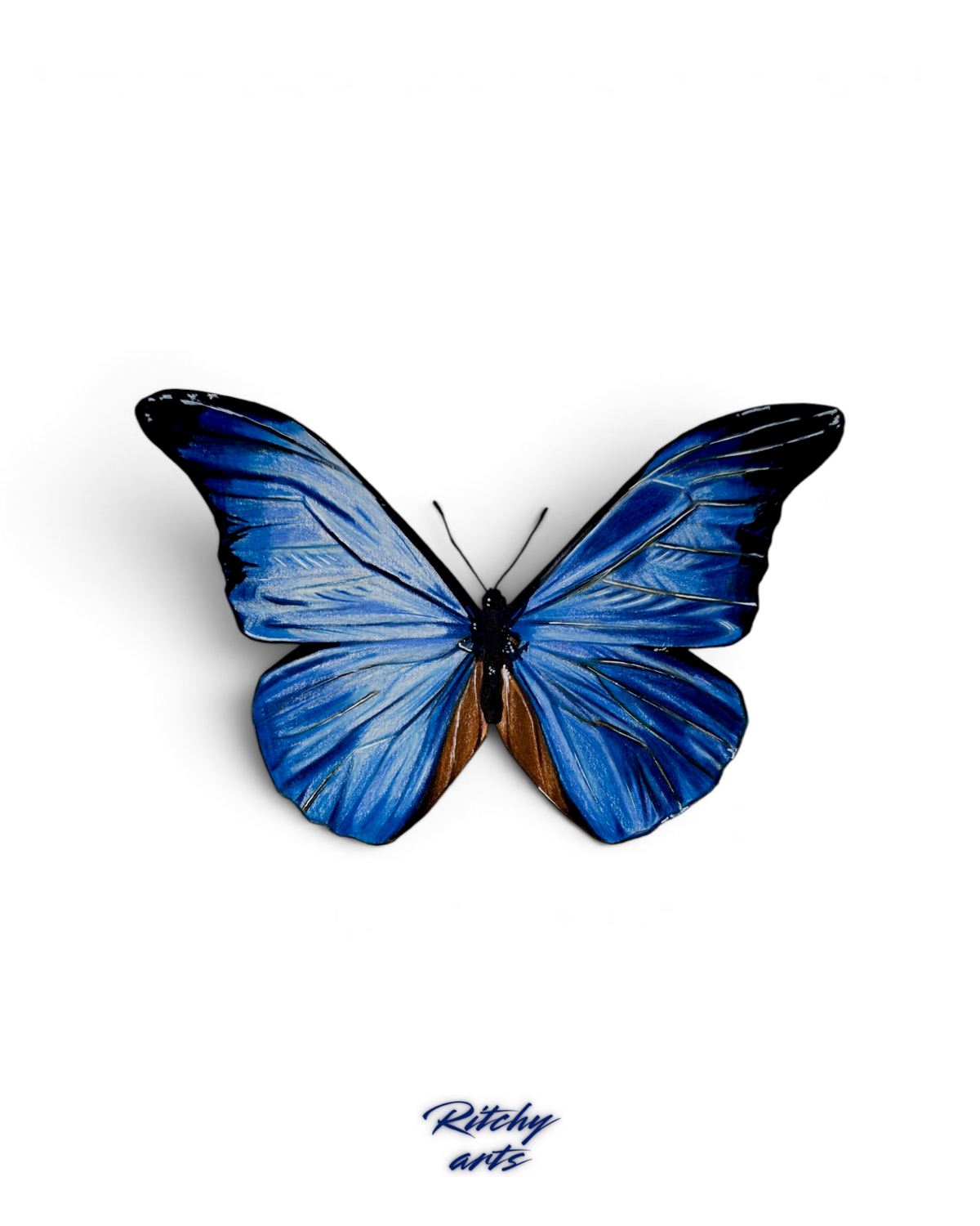 Blue Butterfly
